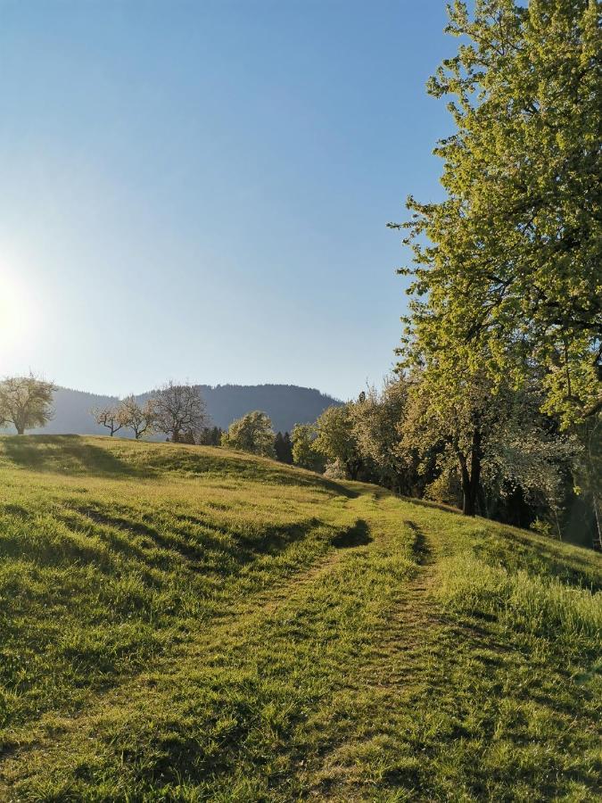 Apartma Lesjak - Pobeg V Naravo Mozirje Exteriör bild