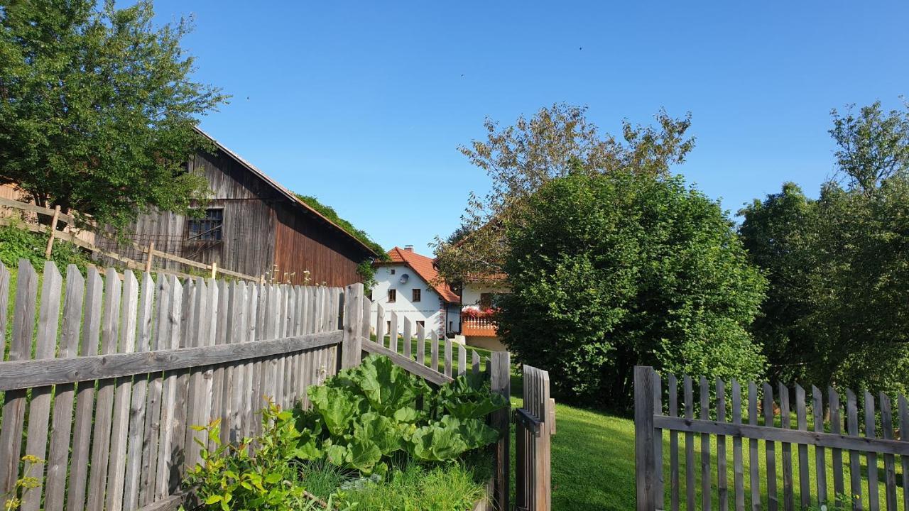 Apartma Lesjak - Pobeg V Naravo Mozirje Exteriör bild